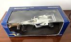 Minichamps 1:18 - Modelauto - Williams F1 FW22 BMW - R., Nieuw