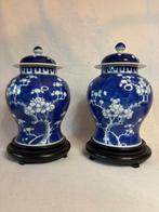 Blauwe en witte porseleinen vazen, gemberpot. - Porselein -