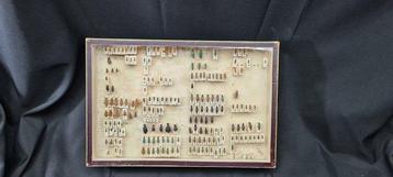 Restored collection of Palearctic beetles Mrs. R. COUPILLE beschikbaar voor biedingen