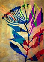 Lupo - Urban Jungle 164 - Real Gold - XXL-NO Reserve