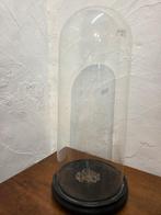 Globe - stolp - antiek - 1901-1920 - Grote !!! Cloche, Antiek en Kunst