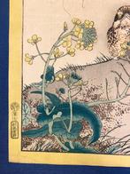 No. 7, Dusky Thrush, Pea Plants, and Broccoli Flowers