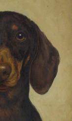 Franco Cirezzi - Dachshund Study in Umber and Gold
