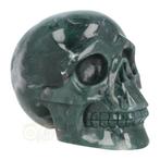 Mosagaat schedel Nr 269 - 1337 gram, Verzenden