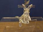 Swarovski - Beeldje - Kangaroo with joey 181756- boxed with, Antiek en Kunst