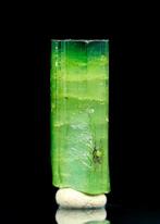 SUBLIME Gelaagde Groene toermalijn Kristal • 14,85 ct •, Verzamelen