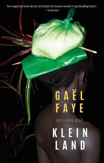 Klein land 9789048855605 Gaël Faye, Verzenden, Gaël Faye