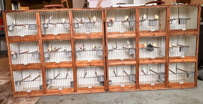 Vogelkooi - Hout - valies van een vogelliefhebber, Antiquités & Art, Curiosités & Brocante