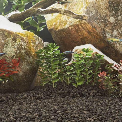 vidaXL Basaltgrind 25 kg 5-8 mm zwart, Dieren en Toebehoren, Vissen | Aquaria en Toebehoren, Nieuw, Verzenden