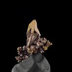 Natuurlijk koper (arborescent) - Bou Nahas mijn, Oumjrane,