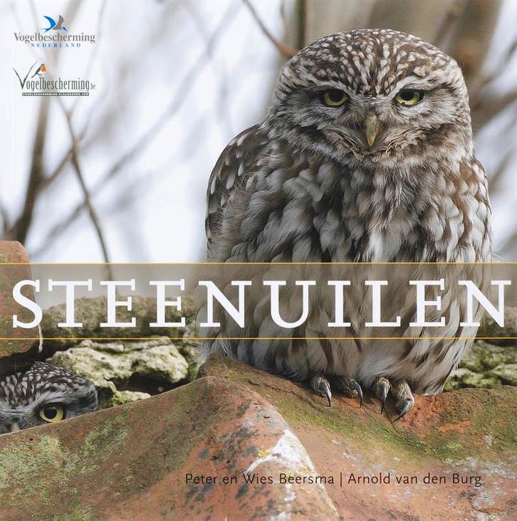 Steenuilen 9789087400088 P. Beersma, Livres, Loisirs & Temps libre, Envoi