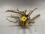 Spiderwood Selected SW71 - 49x27x16cm (Spider wood), Dieren en Toebehoren, Vissen | Aquaria en Toebehoren, Nieuw, Ophalen of Verzenden
