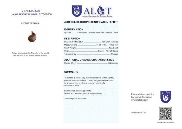 Geen veilingreserve - ALGT-gecertificeerd - Grote en Zeer, Verzamelen, Mineralen en Fossielen