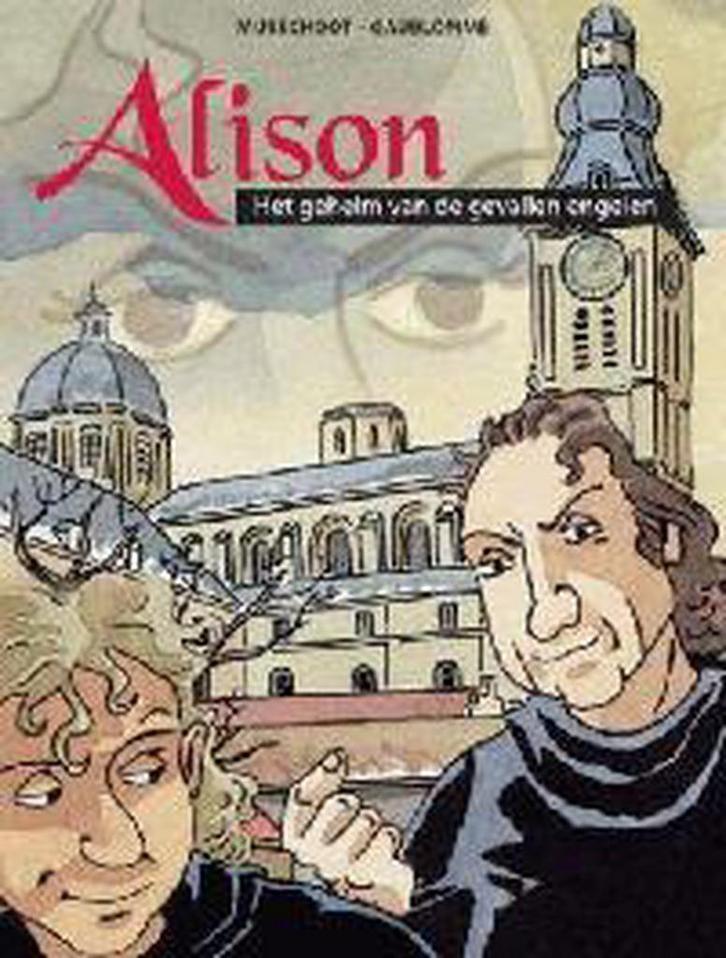 Alison: Het Geheim van de gevallen engelen 9789080788527, Boeken, Overige Boeken, Gelezen, Verzenden