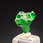2,45 ct Exclusief cadeaubladgroen Swat smaragd