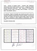 Italie 1945/1945 - Italie 1945, Émissions de Répartition, Gestempeld