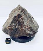 Niet-geclassificeerde NWA meteoriet Chondrite meteoriet -, Collections
