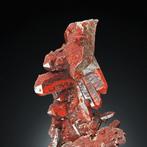 Loi rouge vif intense jumeau. QUARTZ var. FERRUGINOUS avec