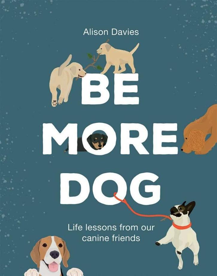 Be More Dog 9781787134546 Alison Davies, Boeken, Taal | Engels, Zo goed als nieuw, Verzenden