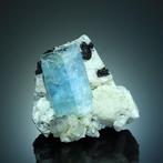 Béryle aquamarine avec tourmaline schorl sur feldspath