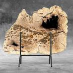 Wonderlijke grote plak versteend hout op een op maat