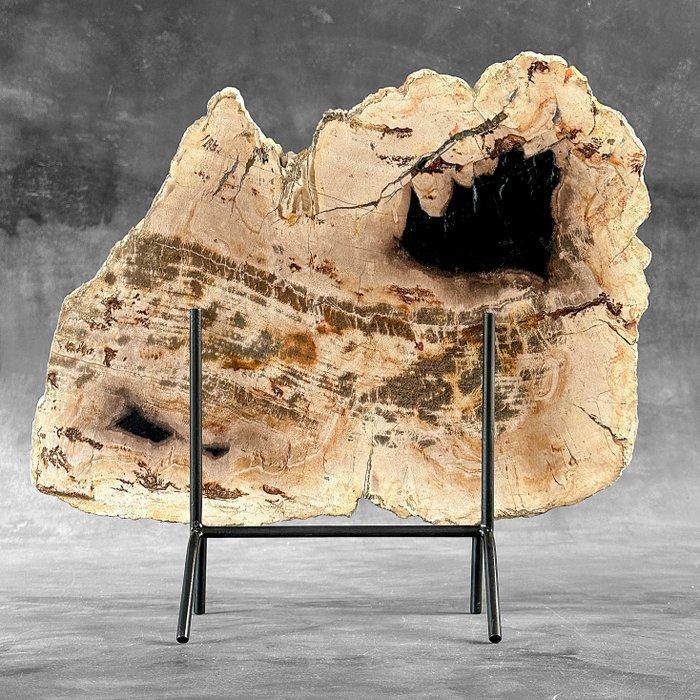 Wonderlijke grote plak versteend hout op een op maat, Antiek en Kunst, Kunst | Designobjecten