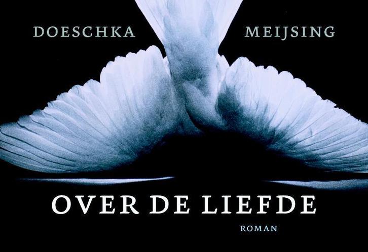 Over de liefde / Dwarsligger / 76 9789049800673, Boeken, Romans, Gelezen, Verzenden