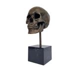 Figuur - Skull - Brons, Marmer, Antiek en Kunst