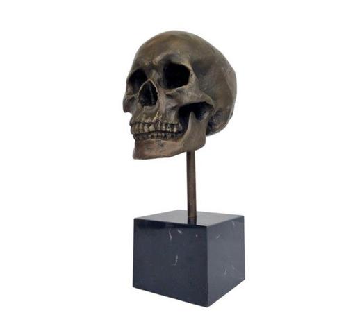 Figuur - Skull - Brons, Marmer, Antiek en Kunst, Curiosa en Brocante