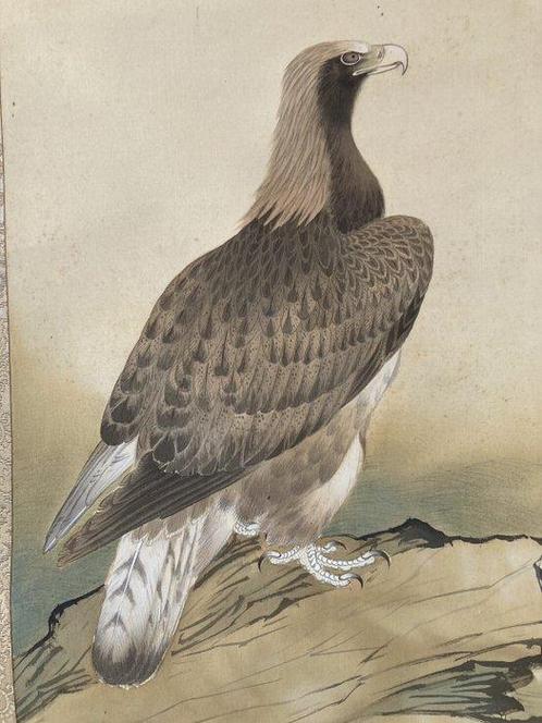 Hangende WandScroll, Hawk () - Shiozaki Itsury (), Antiek en Kunst, Antiek | Overige Antiek