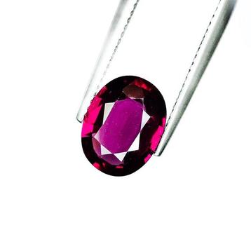 Zonder Minimumprijs Granaat - 3.68 ct - International