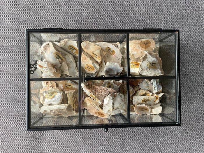 Gereedschapskist (46) - Geslepen silex - Neolithicum, Antiek en Kunst, Antiek | Overige Antiek