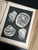 Lesmateriaal - Nicolas-Henri Jacob & Jean Baptiste Marc, Antiek en Kunst