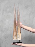 PRIX NON RÉSERVÉ - Une paire de grands rostrums despadon