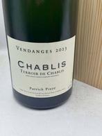 2023 Chablis Terroir de Chablis Patrick Piuze - Chablis -
