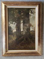 Théophile de Bock (1851-1904) - Boomen