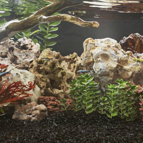 vidaXL Drakenstenen 10 kg 10-40 cm grijs, Dieren en Toebehoren, Vissen | Aquaria en Toebehoren, Nieuw, Verzenden