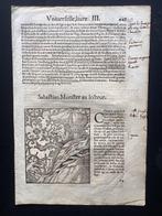 Erasmus portrait by Hans Rudolf Manuel after Holbein from