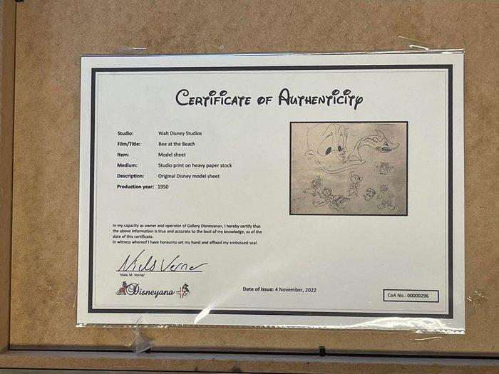 Disney - Disney Donald Duck Model Sheet - Bee at the Beach, Verzamelen, Disney