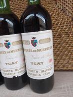 1970 Marqués de Murrieta, Ygay Etiqueta Blanca - Rioja - 3, Verzamelen, Wijnen, Nieuw