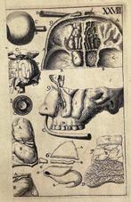 Philip Verheyen (1648-1710) - Anatomic Engraving - Jawbones