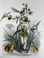 J.J Grandville - Les Fleurs Animées - 1867