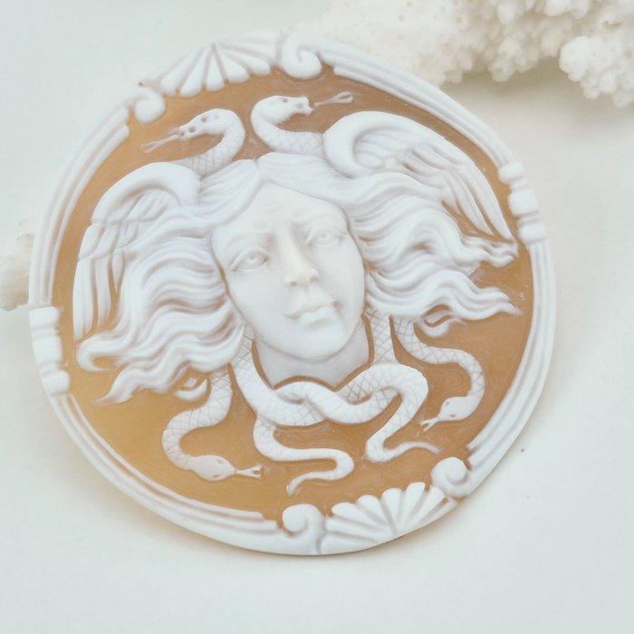 Cassis madagascariensis - Cameo - CAMMEO met de hand, Antiek en Kunst, Curiosa en Brocante