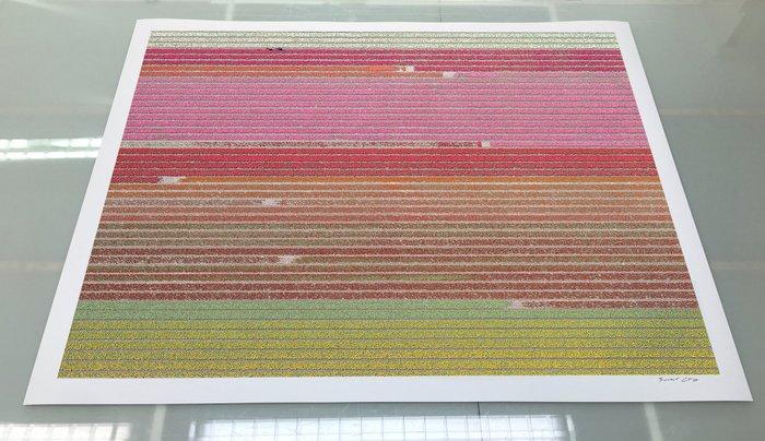 Bernhard Lang - AV_Tulip_Fields_035 - XXL, Antiek en Kunst, Kunst | Schilderijen | Modern