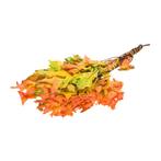 Herfstblad, eikenblad, scarlet oak leaf preserved autumn