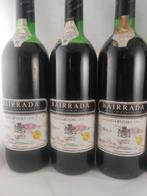 1976 Caves de Coimbra - Bairrada Garrafeira - 6 Bouteilles, Verzamelen, Nieuw