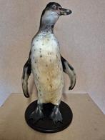 Pinguïn Taxidermie volledige montage - Spheniscus humboldt -, Verzamelen, Dierenverzamelingen, Nieuw