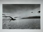 Josef Koudelka - Scotland, 1977