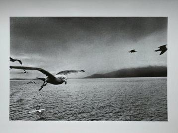 Josef Koudelka - Scotland, 1977