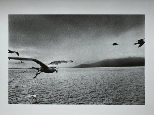 Josef Koudelka - Scotland, 1977, Antiek en Kunst, Kunst | Schilderijen | Modern